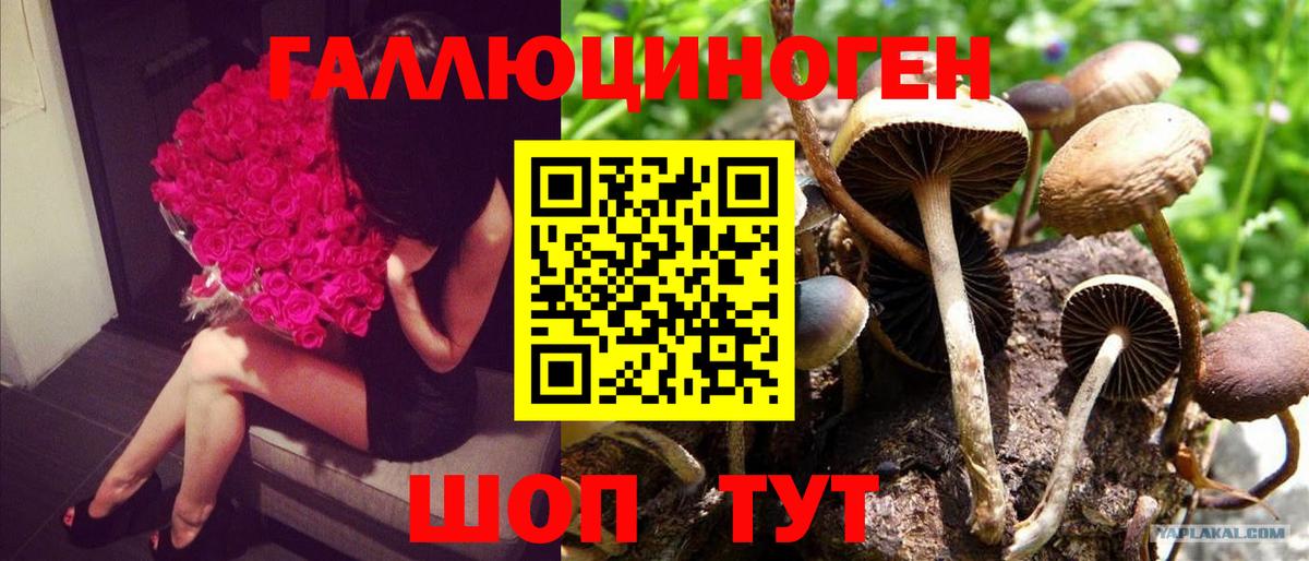Галлюциногенные грибы мухоморы Сатка