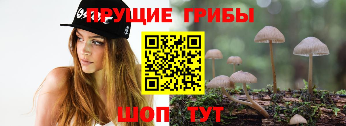 Псилоцибиновые грибы прущие грибы  Вход с VPN  Галлюциногенные грибы Psilocybe  где купить наркоту  Сатка 
